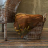 Throw Blanket - Image 2